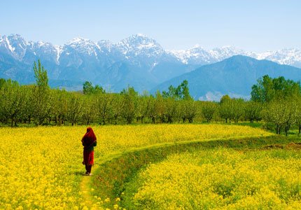 Kashmir Self Drive Tour