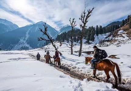 Kashmir Self Drive Tour